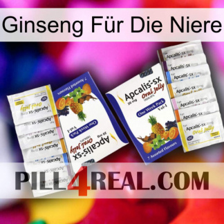 Ginseng Für Die Niere 12